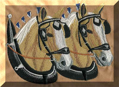 Belgian Pair