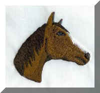 Quarter Horse