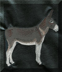 Mamouth Donkey