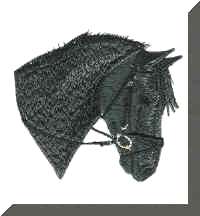 dragonstitch.jpg (23734 bytes)